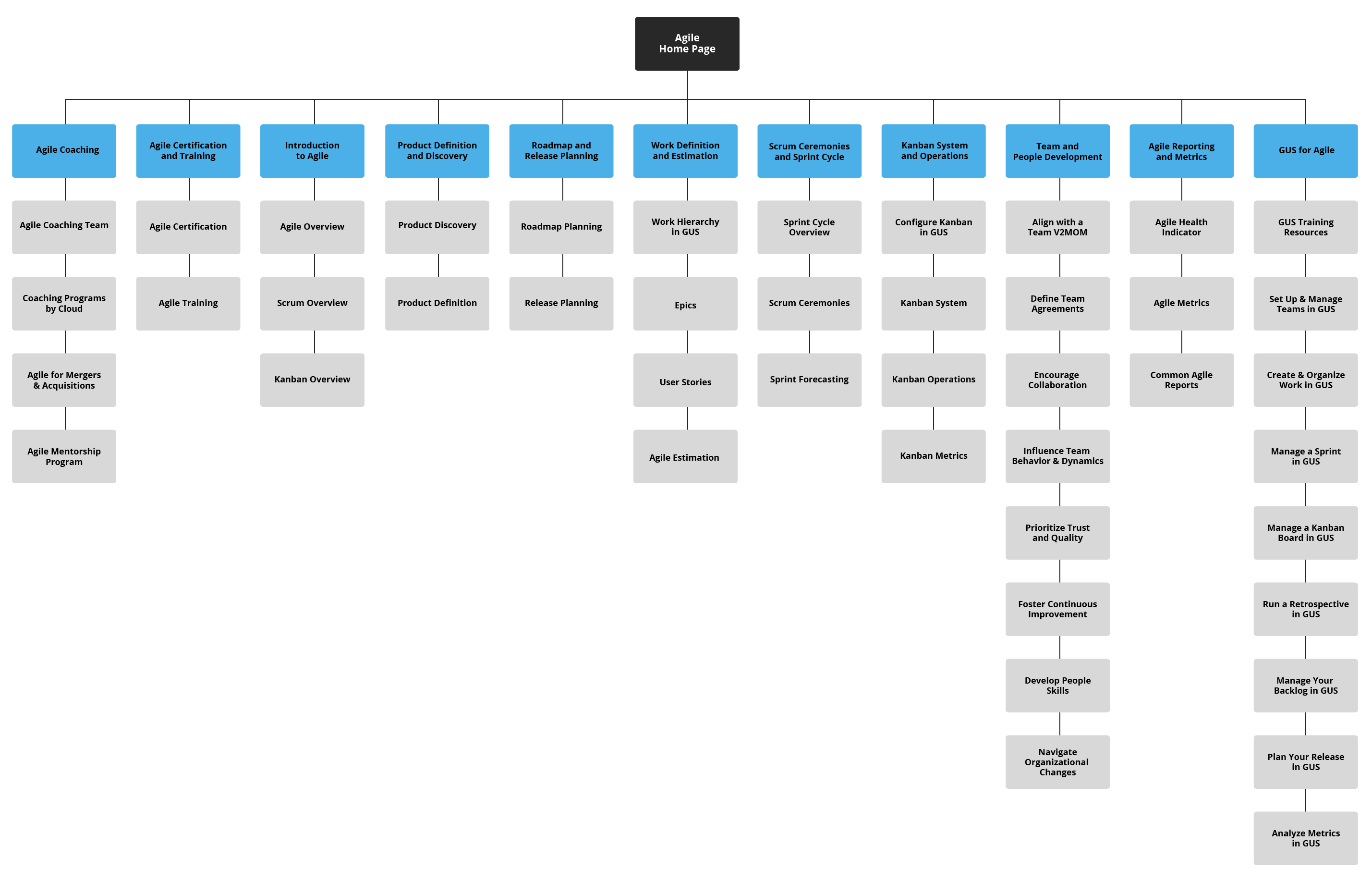 The first two levels of the agile coaching team's information architecture